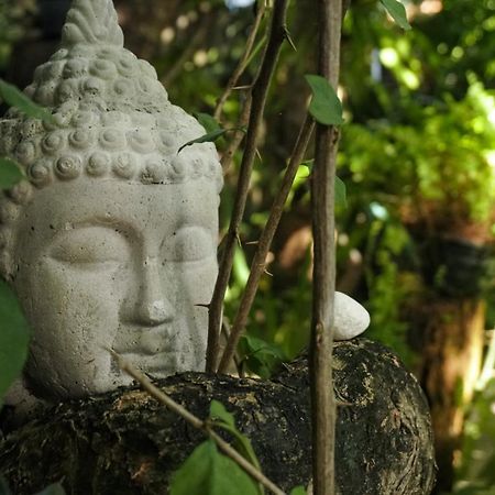 Pousada Zen Caraiva Ngoại thất bức ảnh
