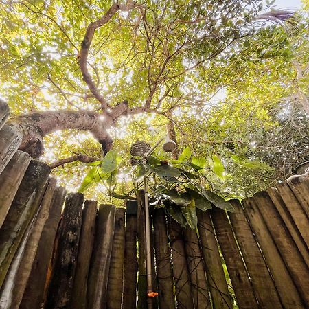 Pousada Zen Caraiva Ngoại thất bức ảnh