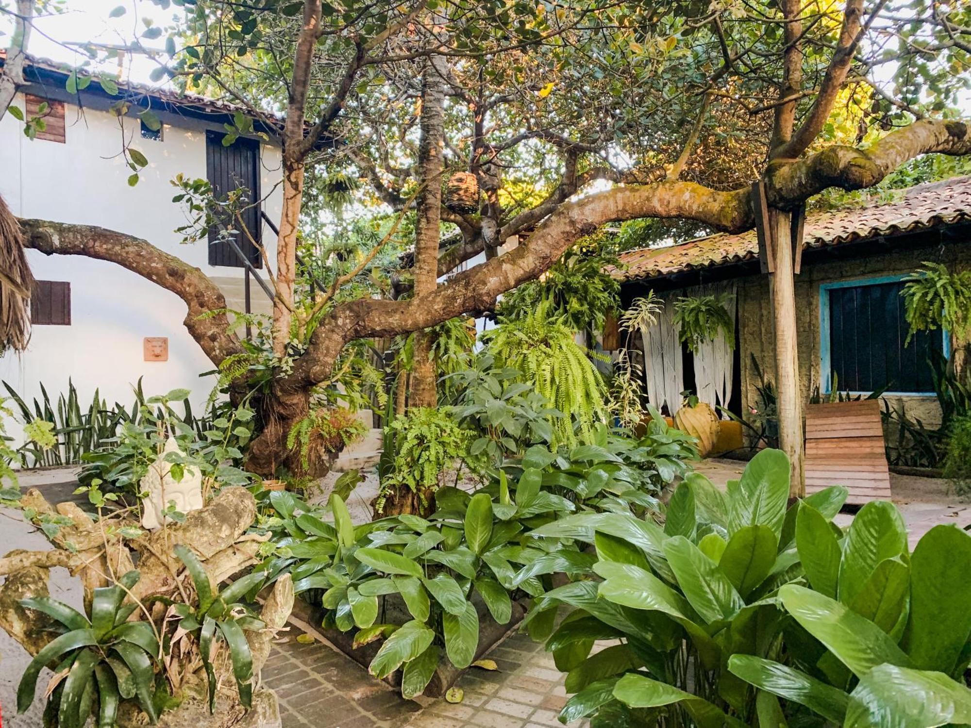 Pousada Zen Caraiva Ngoại thất bức ảnh